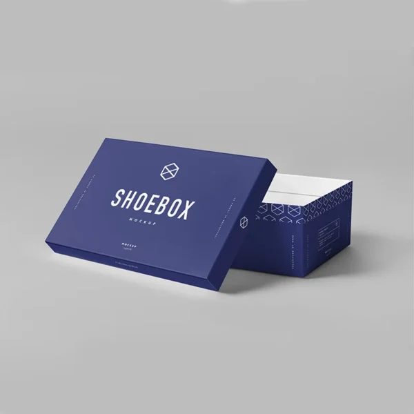 Rigid Shoe Packaging - Image 2